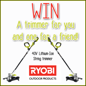 Ryobi Prize Image