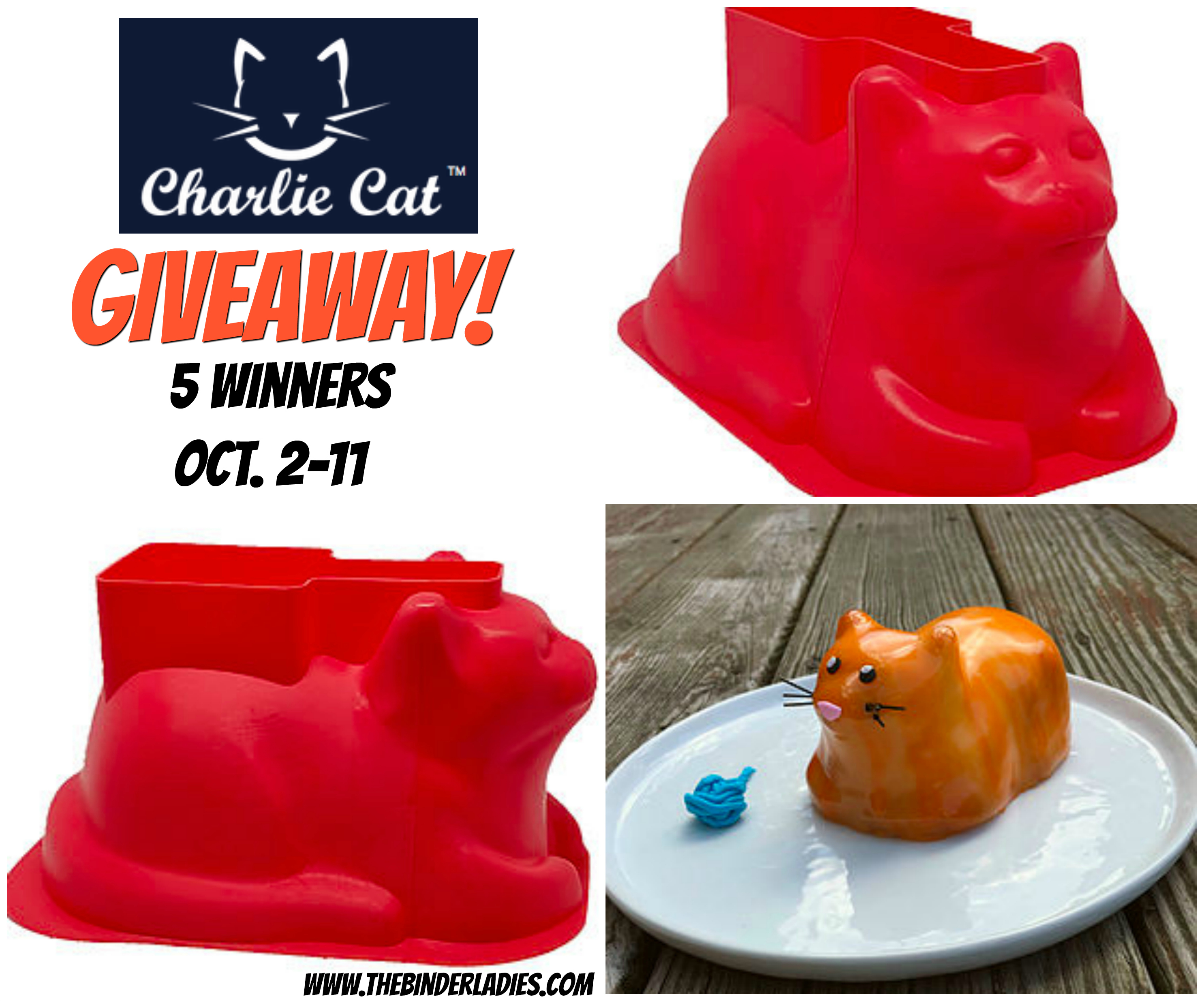 Charlie Cat Giveaway-2